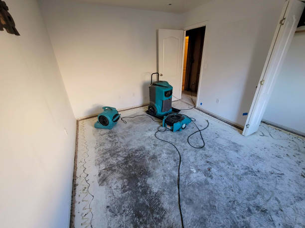 Best Flood damage cleanup  in Silver Firs, WA