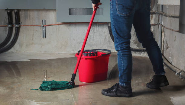 Best Professional water damage repair  in Silver Firs, WA