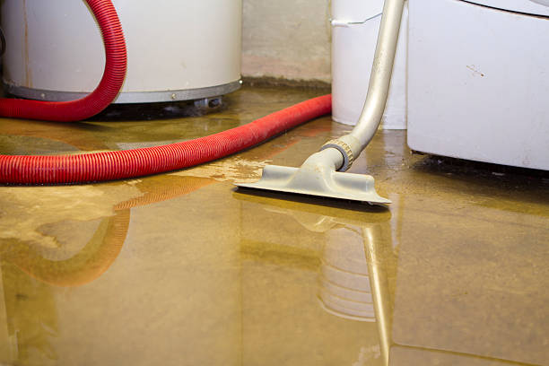 Best Flood restoration services  in Silver Firs, WA