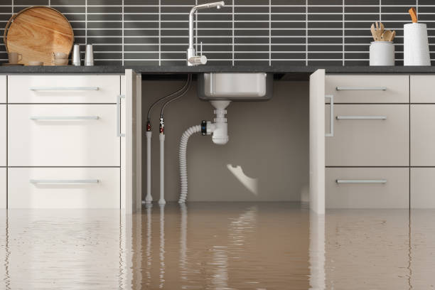 Trusted Silver Firs, WA Water damage restoration Experts