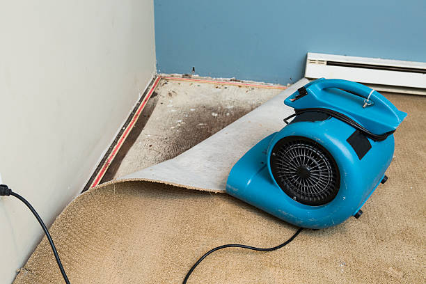 Best Fire Damage Restoration  in Silver Firs, WA